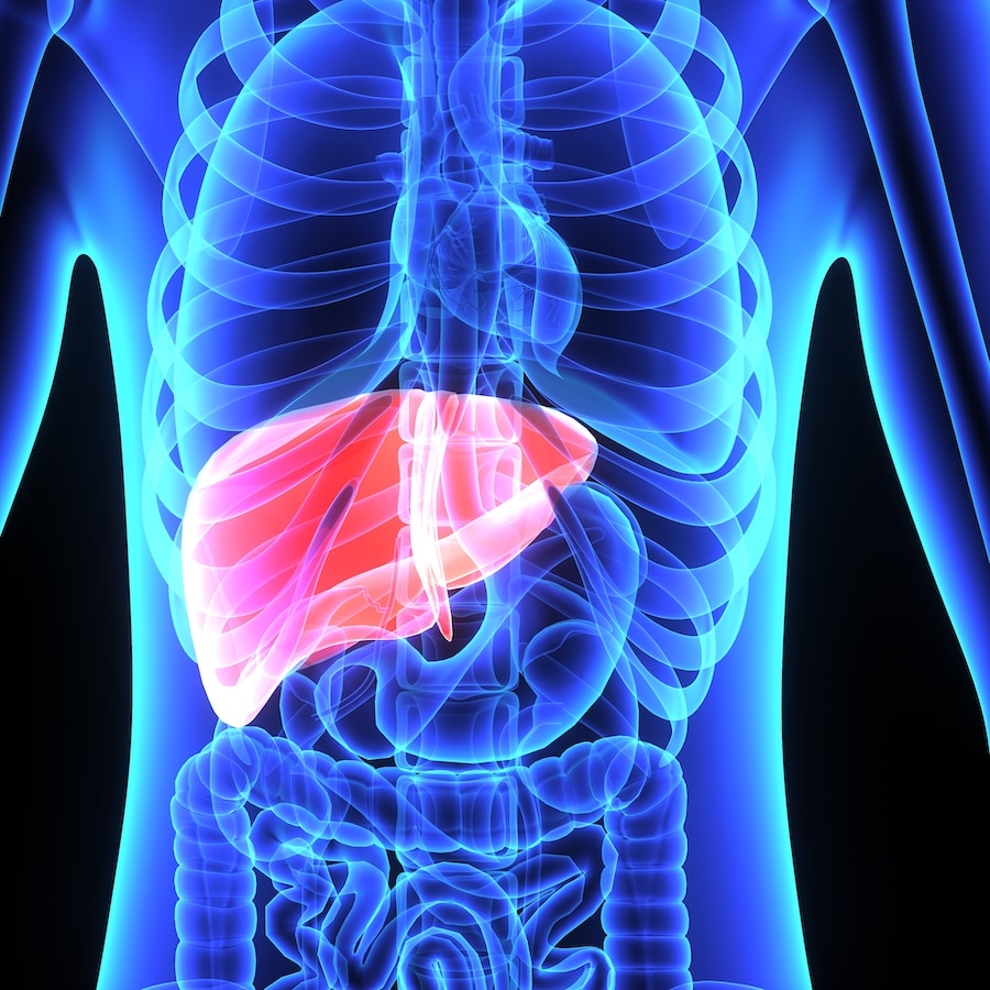 liver disease in responders