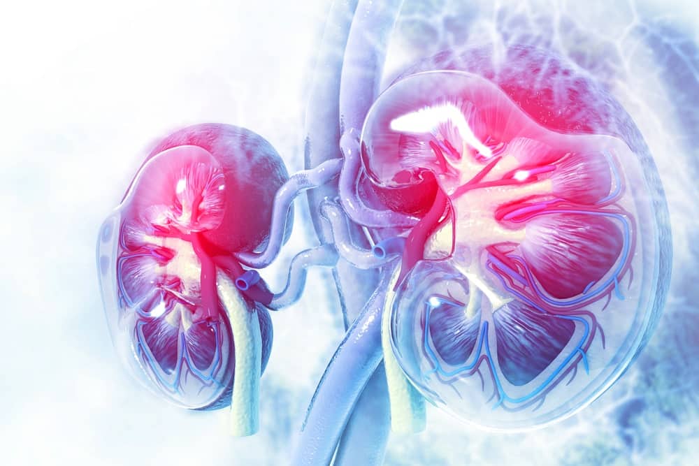 9-11 Kidney Cancer Injury Compensation Claim Lawyers